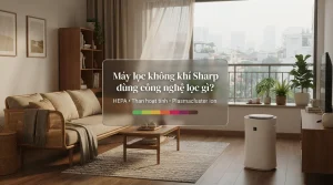 Máy lọc không khí Sharp có lọc được bụi mịn PM2.5 không Công nghệ lọc và cách chọn