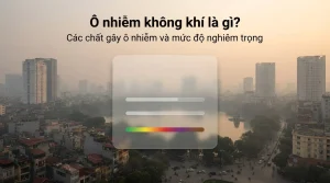 Ô nhiễm không khí là gì Các chất gây ô nhiễm không khí và mức độ nghiêm trọng